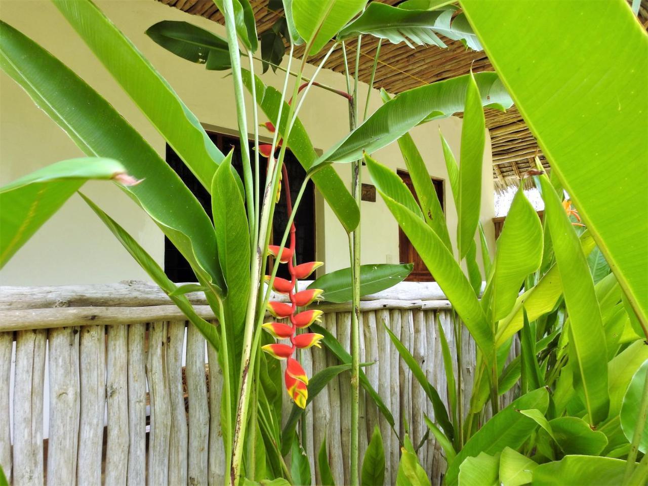 Sheba Cottages - Diani Beach Exteriör bild